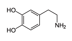 ドーパミン
