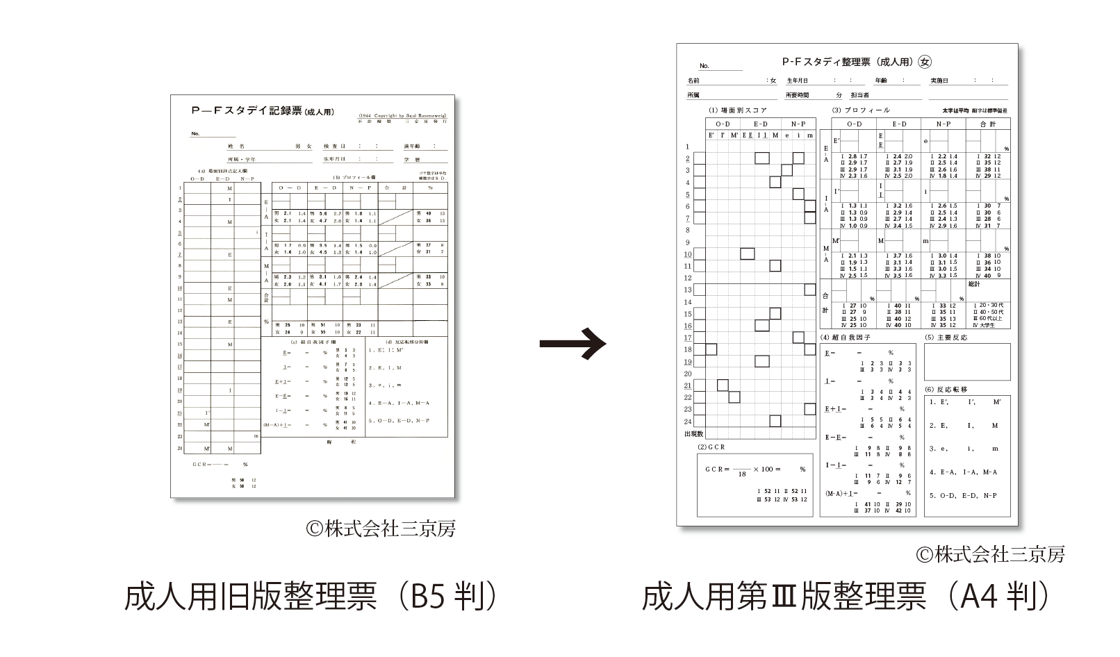 商品紹介P-F用紙